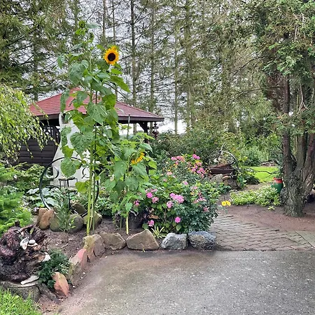 Ruegen_fewo 61 公寓 *